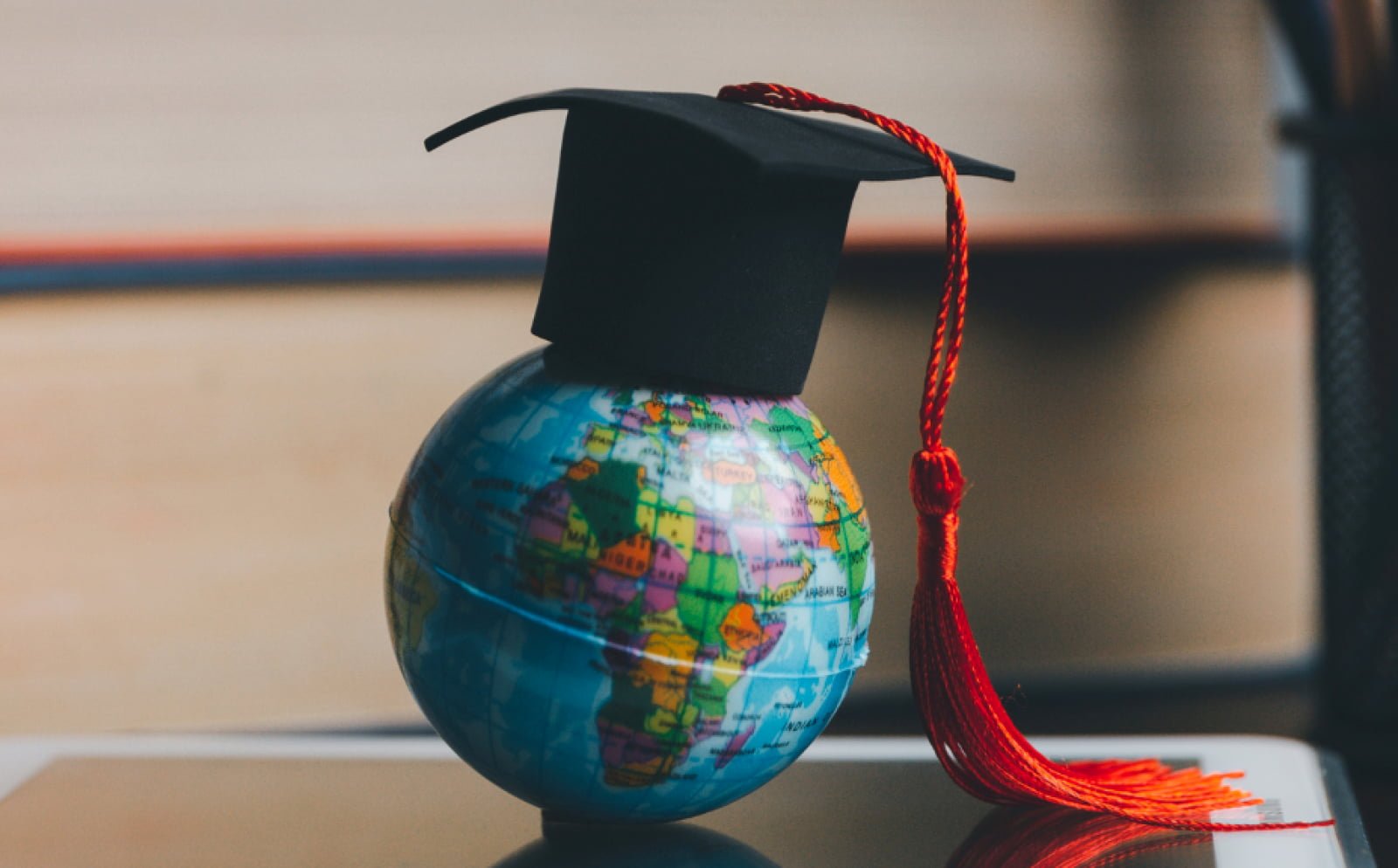 Study Abroad Consultancy